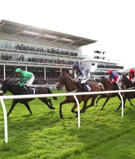 Cheltenham festival ladies day Wednesday 