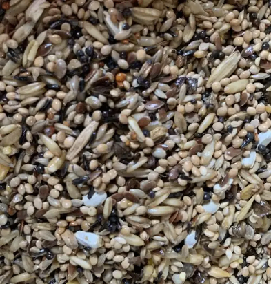Wild finch bird seed 19.5kg 
