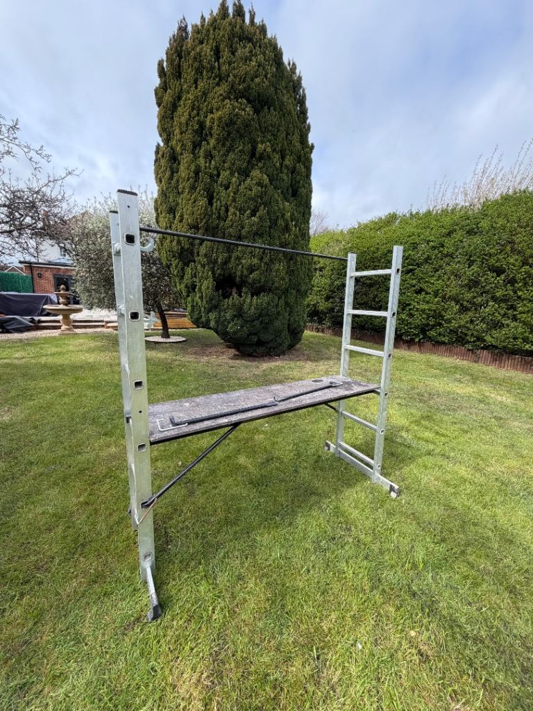 Ladder Platform Scaffold Ladder