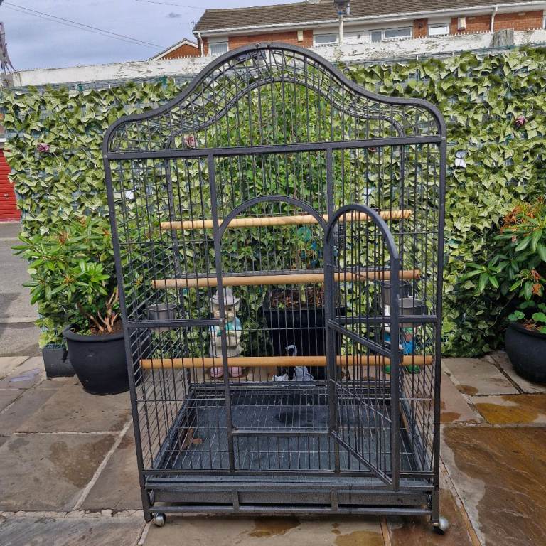 Parrot cage 