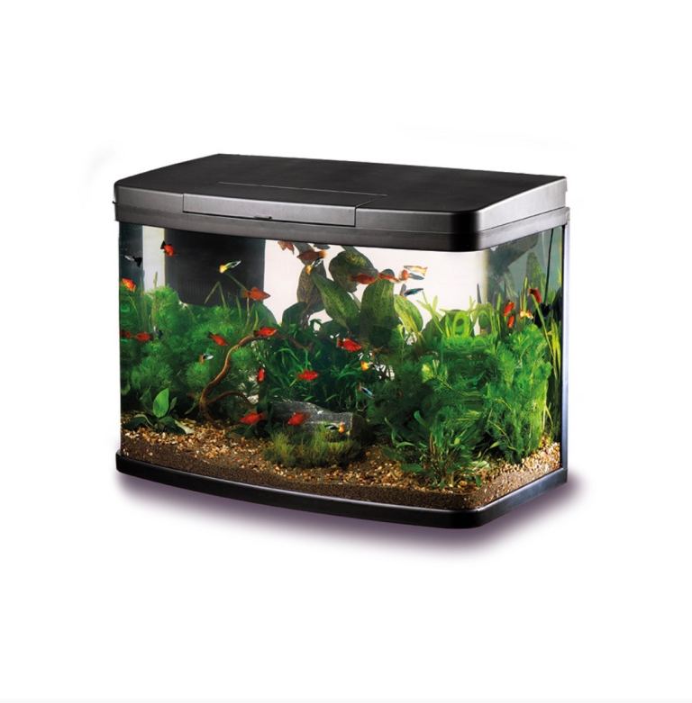 40L Love Fish Panorama Aquarium 