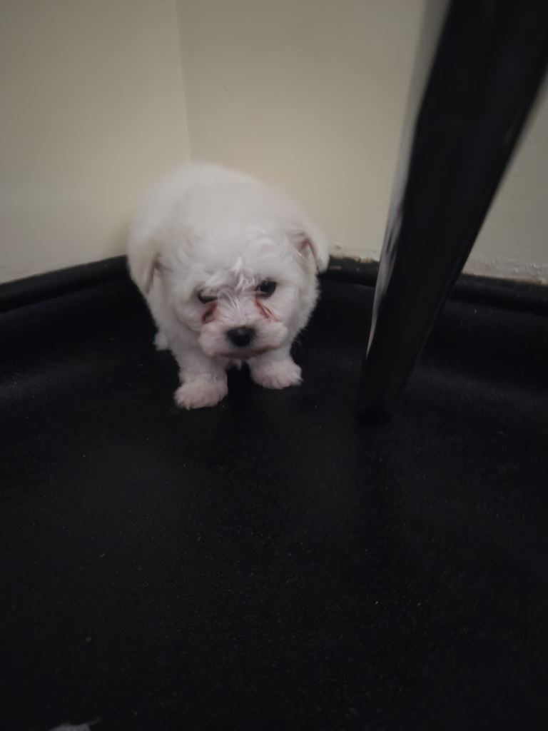 Beijan freeze ready.ready to leave 