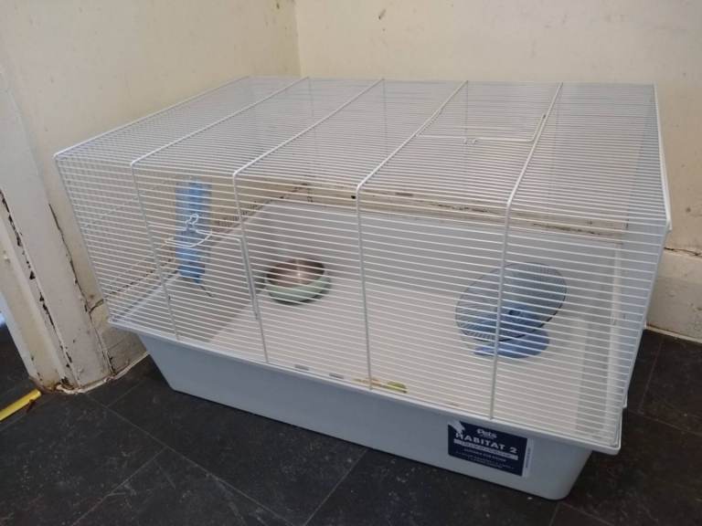 Pet at home rabbit, guinea pig cage and accessories.