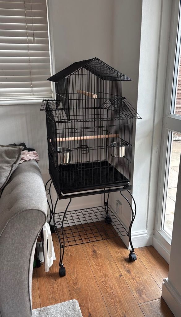 Bird Cage & accessories 