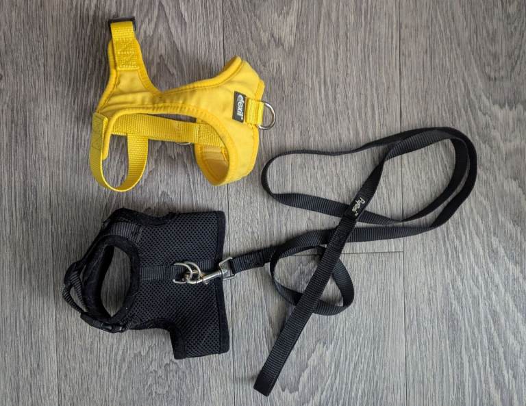 Cat harness 