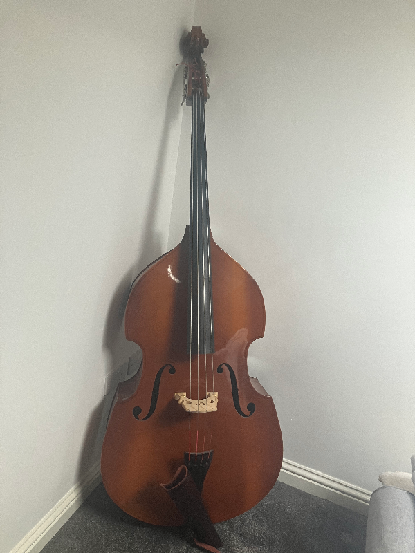 Double Bass Czech Laminate