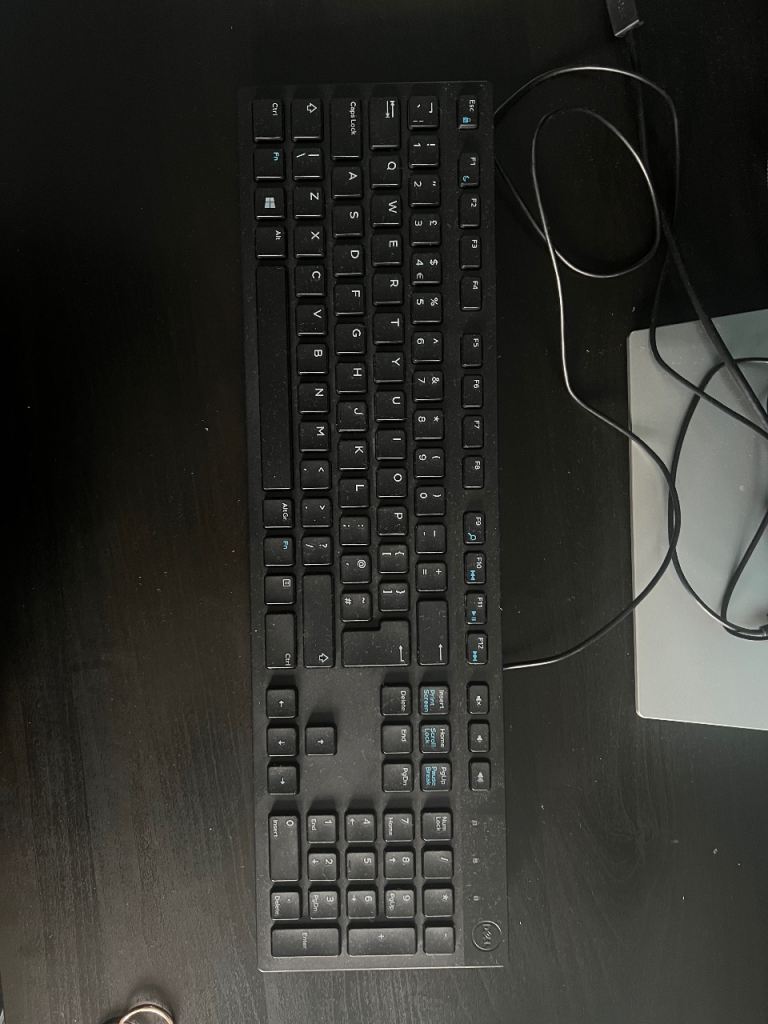 Dell monitor with keyboard 