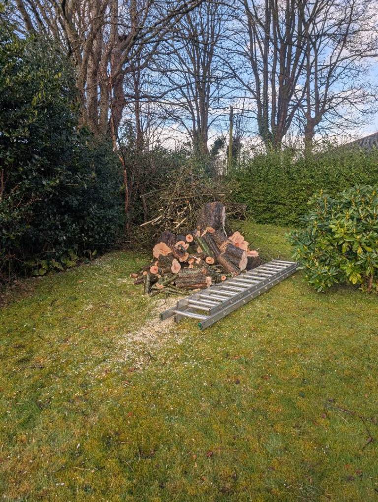 🔥 FIREWOOD - Hardwood and Softwood logs and rounds