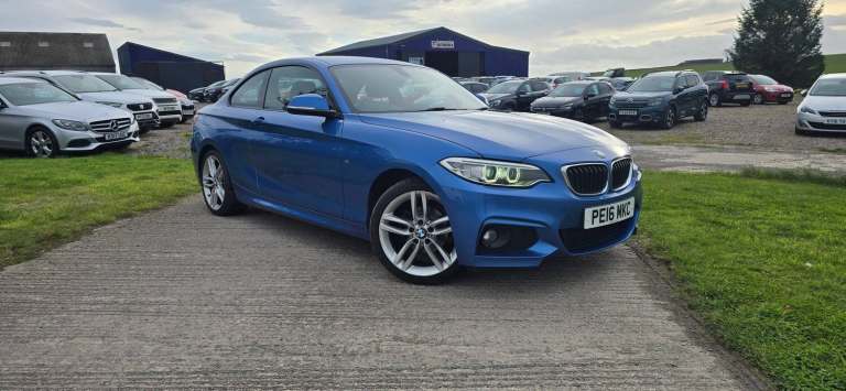 2016 BMW 2 Series 218i M Sport 2dr COUPE PETROL Manual