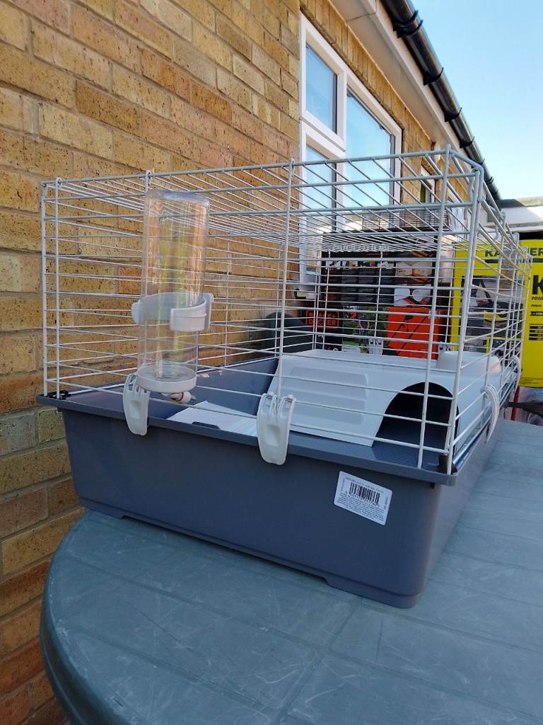 Guinea pig cage 
