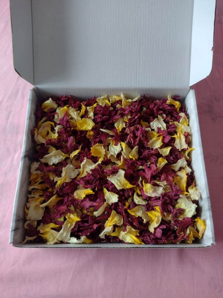 Unique Beautiful Natural Dark Pink/Yellow Flower/Petal Confetti. In a Presentation Box see details!