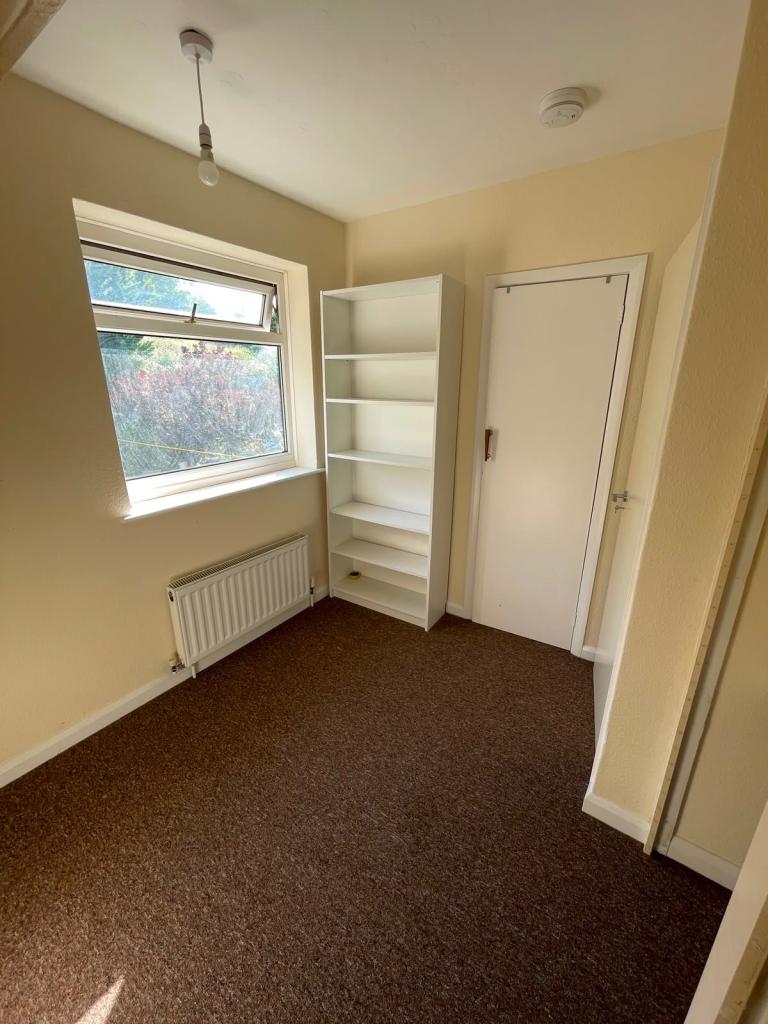 room to rent near sussex university 