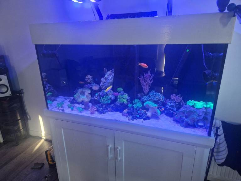Marine aquarium 450ltr plus sump 120ltr