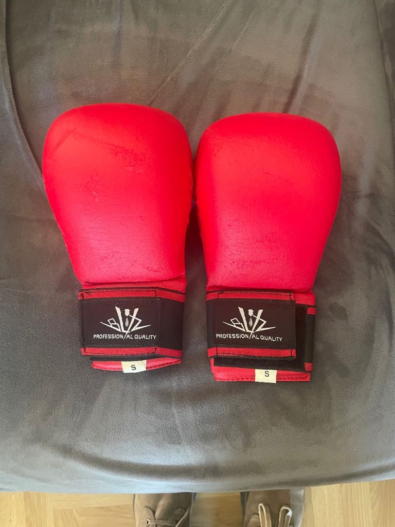 Martial arts sparring gloves (small)