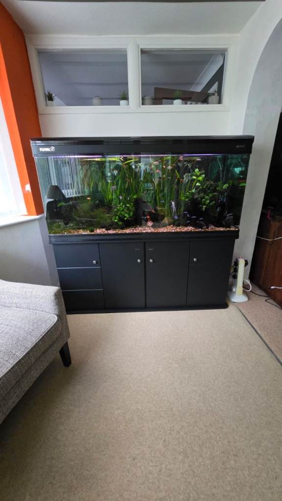 5ft x 2ft x 2ft BOYU fish tank with matching 4-door black cabinet and fluval filter