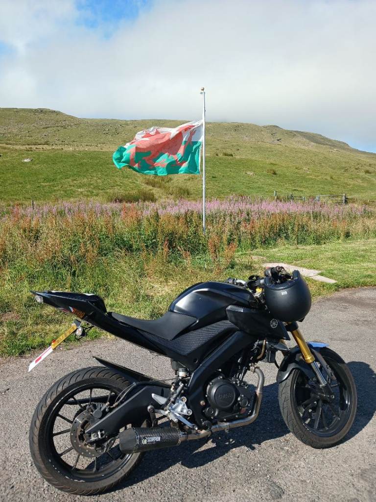 Yamaha, YZF, 2009, 124 (cc)