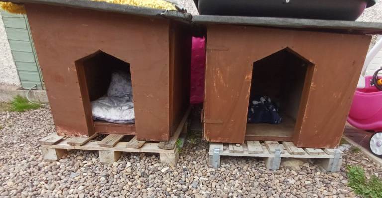 Dog Kennels 