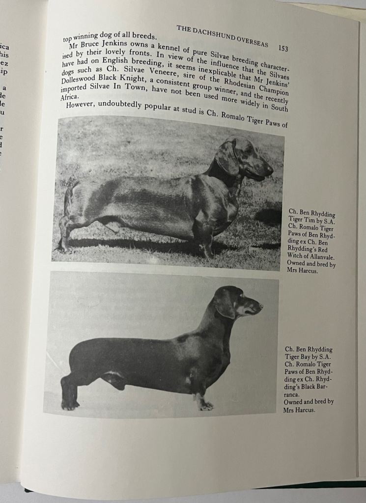 Vintage book on dogs, titled All About the Dachshund, rare revised 1980 edition 