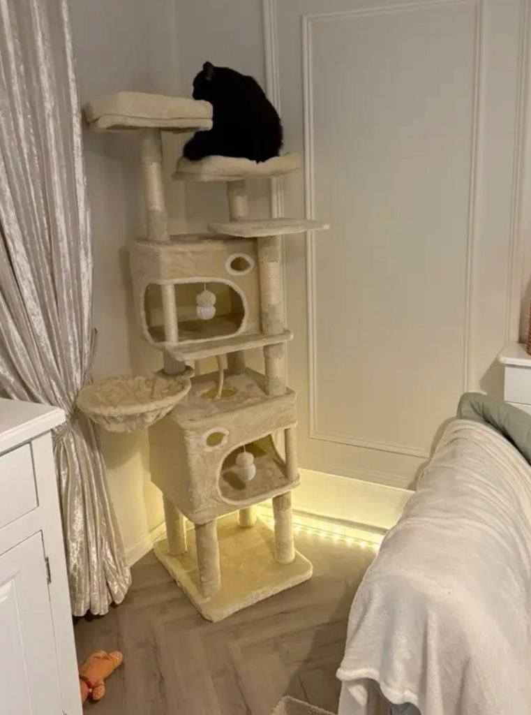 Cat tree new - 2 colours
