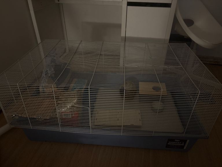 Syrian Hamster Cage 
