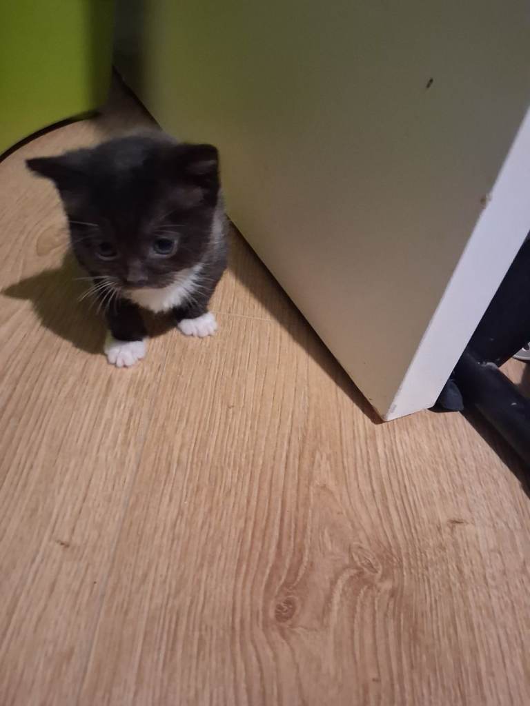 (All Currently Reserved)