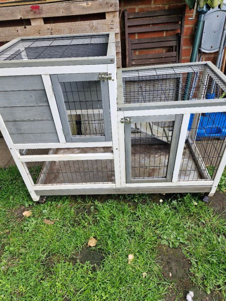 Guineas pig fun hutch