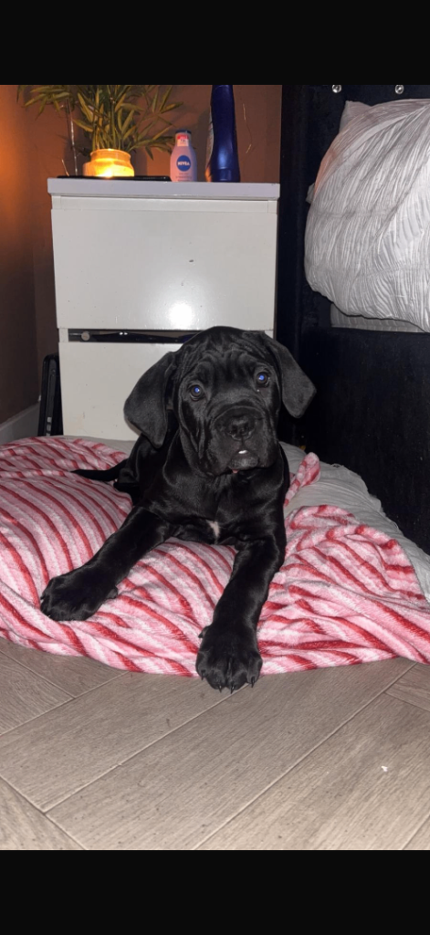 Last girl ready to leave 