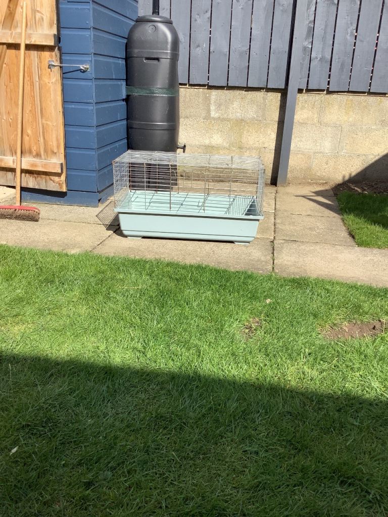 Small animal indoor cage