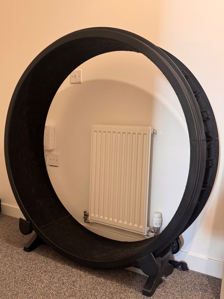 XL cat exercise wheel 