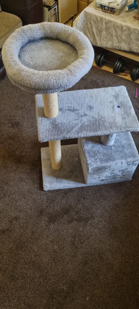 Cat's Scratch Post 