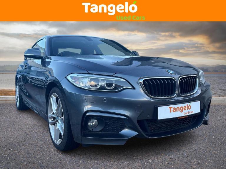 2016 BMW 2 Series 1.5 218i M Sport Coupe 2dr Petrol Manual Euro 6 (s/s) (136 ps) COUPE Petrol Manual