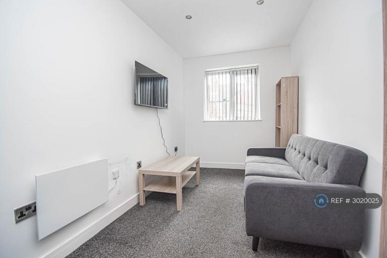 1 bedroom flat in Electro House, Doncaster, DN1 (1 bed) (#3020025)