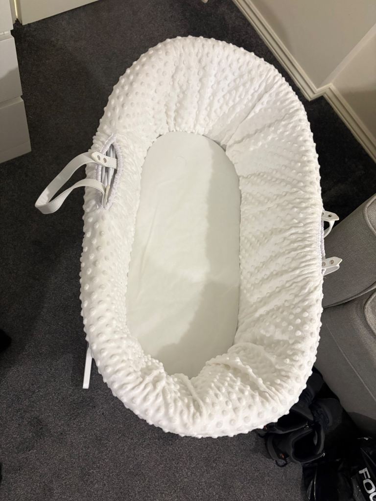 image for Moses basket