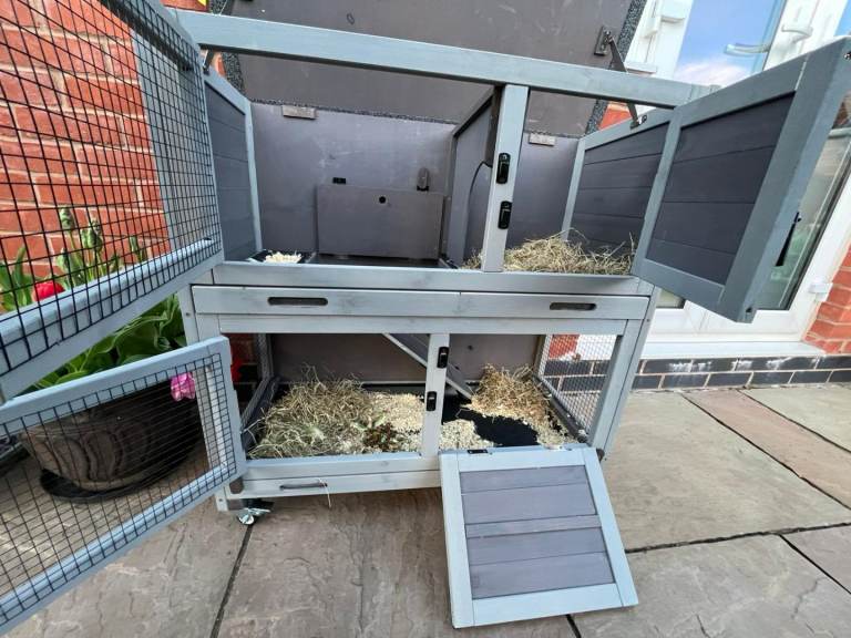 Double decker Rabbit/Guinea-pig hutch
