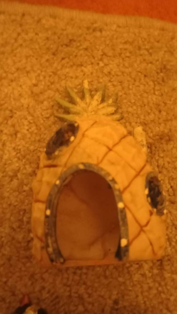 Fish tank toys ex condition 3 £5