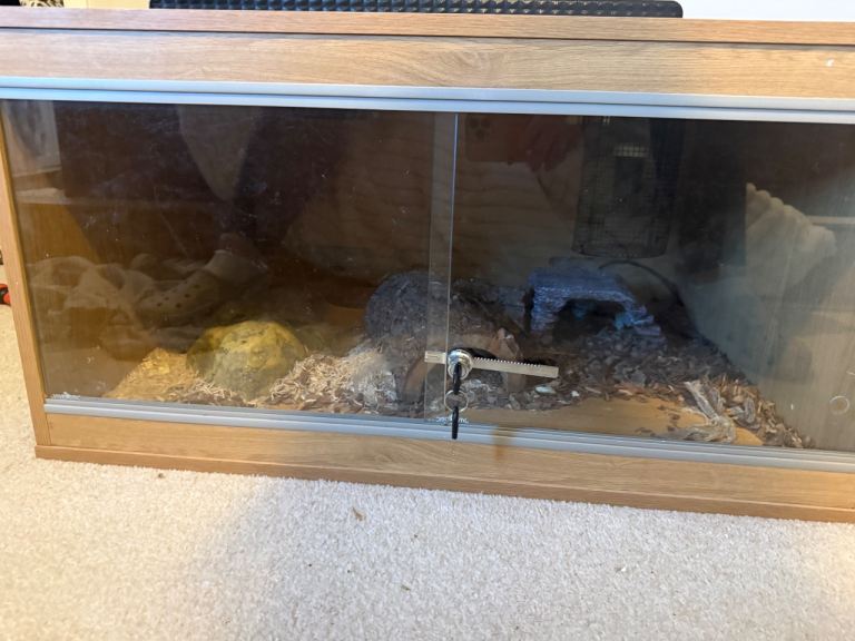 3ftx 3ft Vivarium with all accessories 