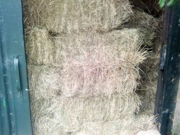 Good Quality Hay Bales for Sale