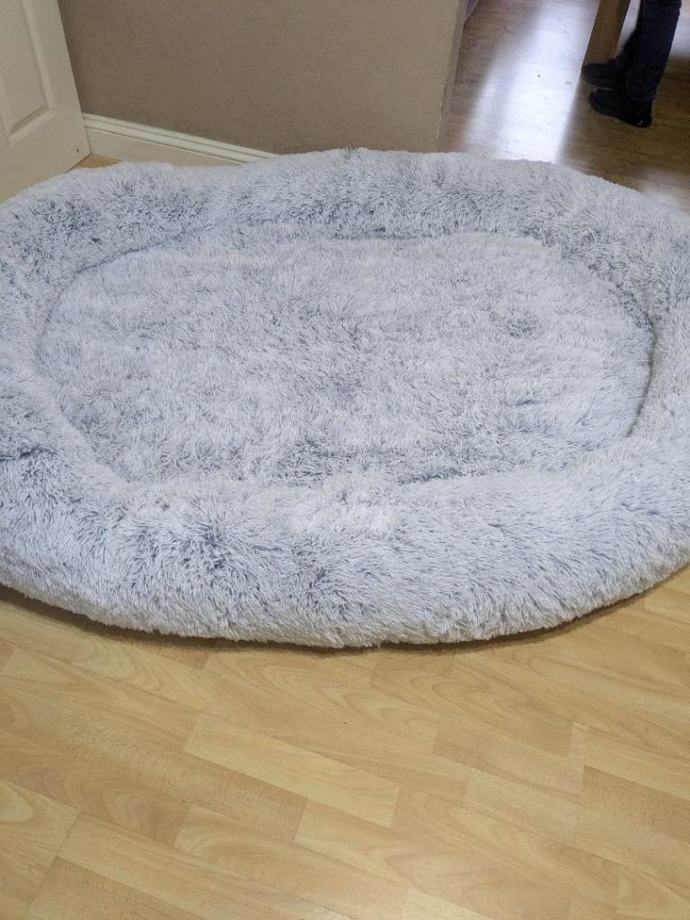 XL dog bed for dogs or humans 