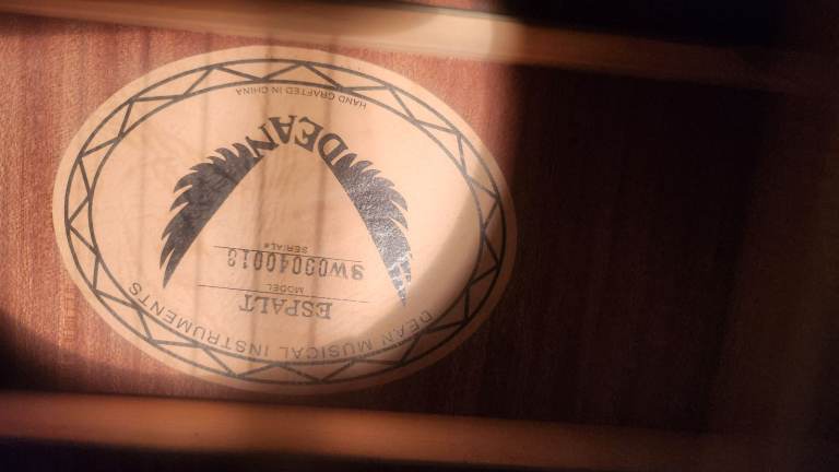 DEAN Exotica Espalt Spalted Maple Electro-Acoustic Guitar