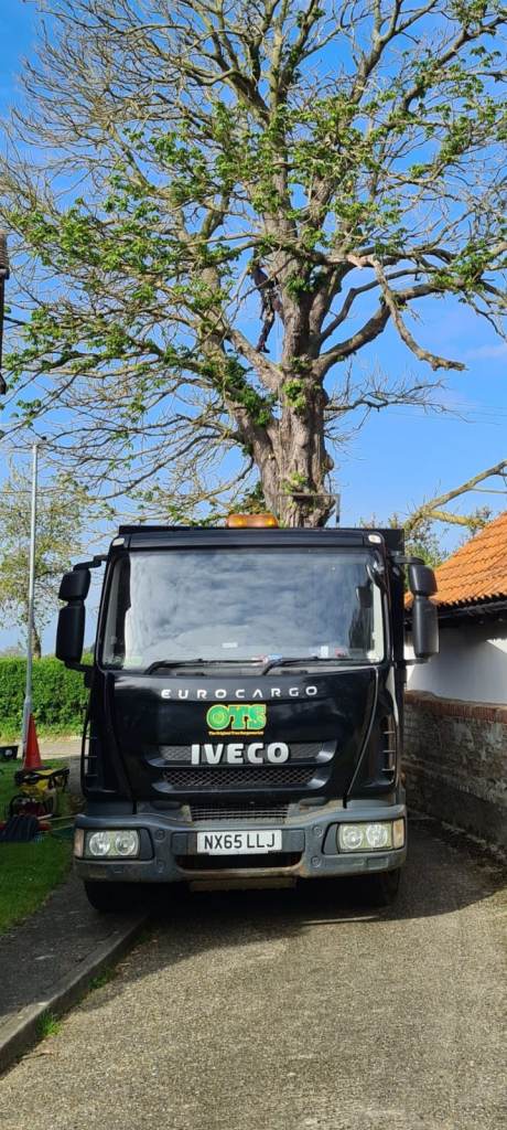 Iveco, EUROCARGO 75E16K TIPPER S, Other, 2015, 4485 (cc)