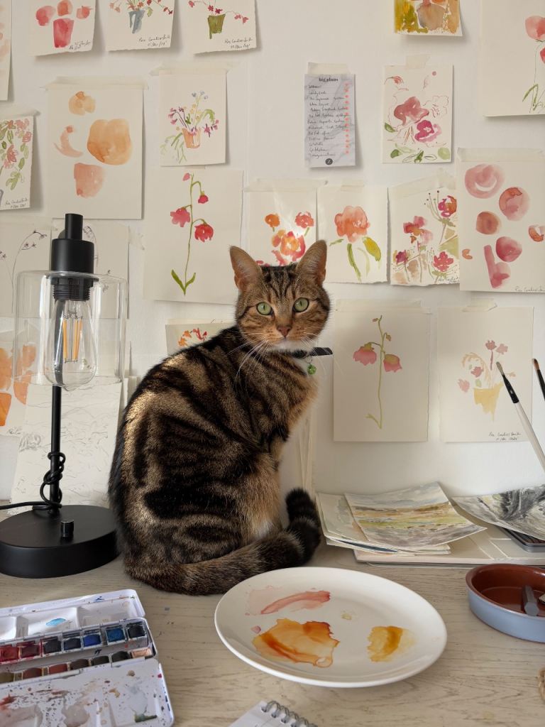 3 year old male cat