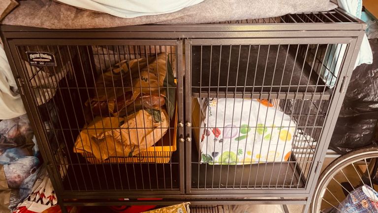 Rat or ferret cage in good condition