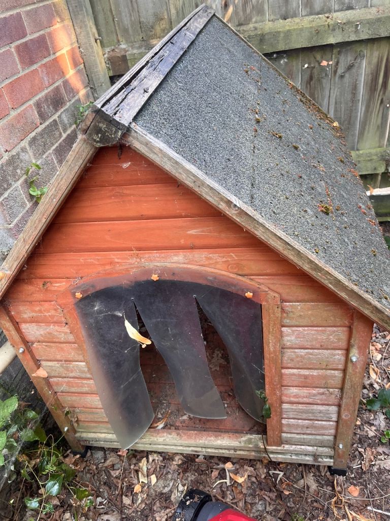 Large dog kennel
