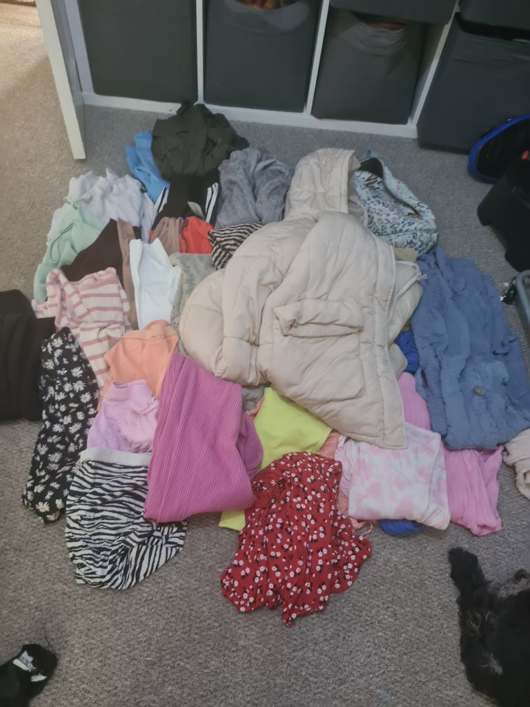 Large Bundle Women's Clothes 10 to 12