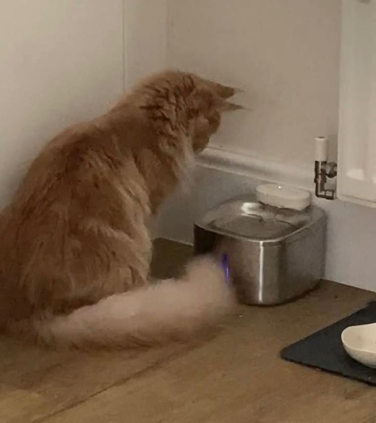 USB-chargeable cat fountain