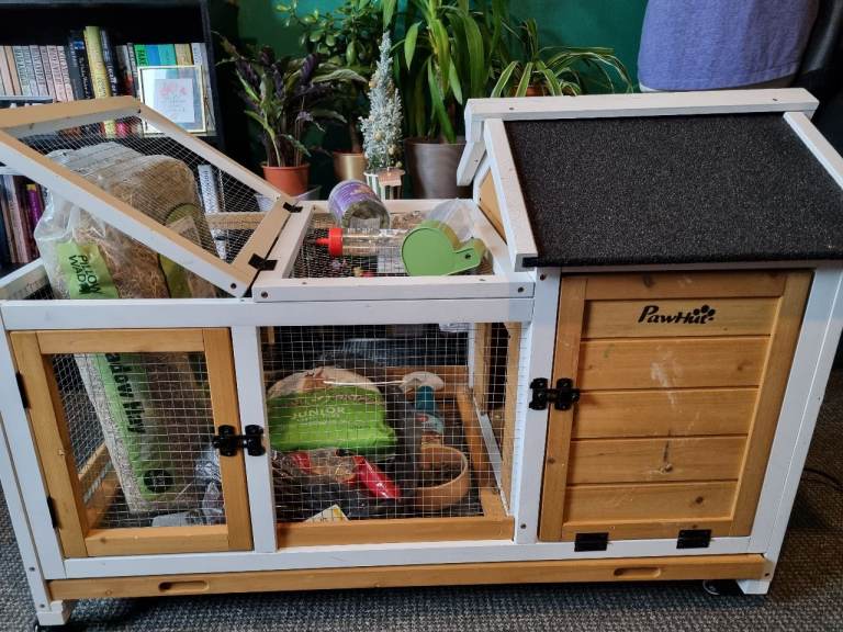 image for Rabbit Hutch + free 'my 1st rabbit' supplies