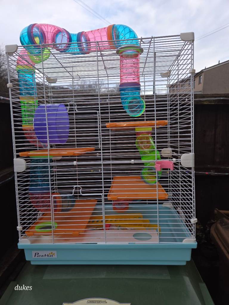 Hamster cage used for dwarf hamster 