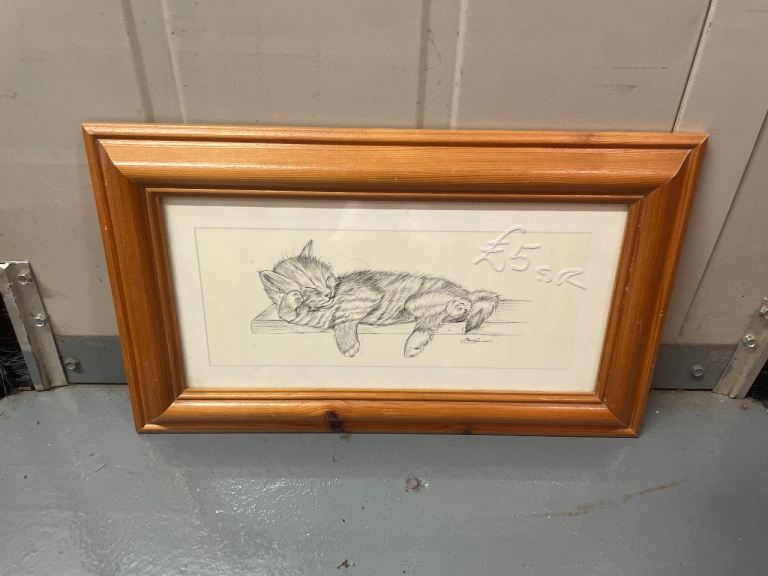 hand drawn cat in wooden frame 