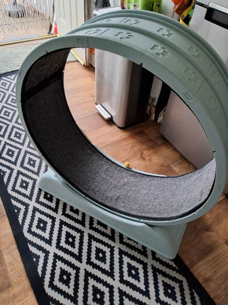 Used Cat x small Exercise Wheel – Pet Treadmill for Active  pets