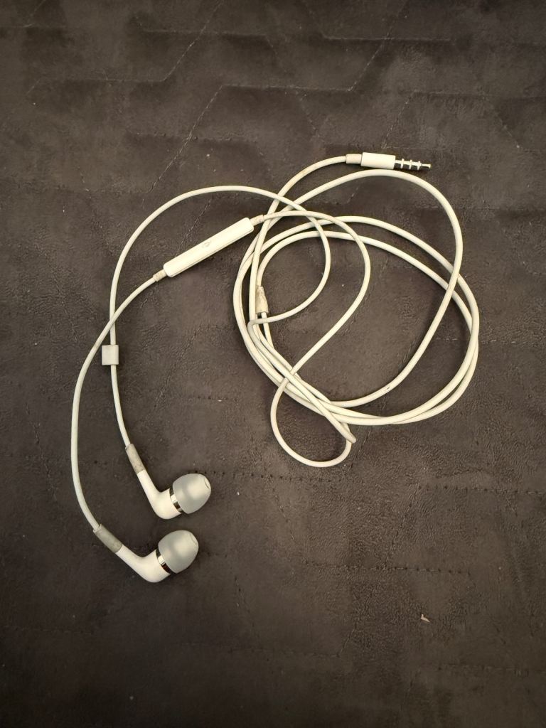 Apple in-ear headphones with remote and mic + lightning adaptor